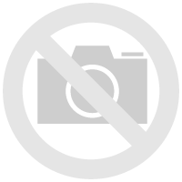 Lavandula angustifolia (spica) - Lavande vraie